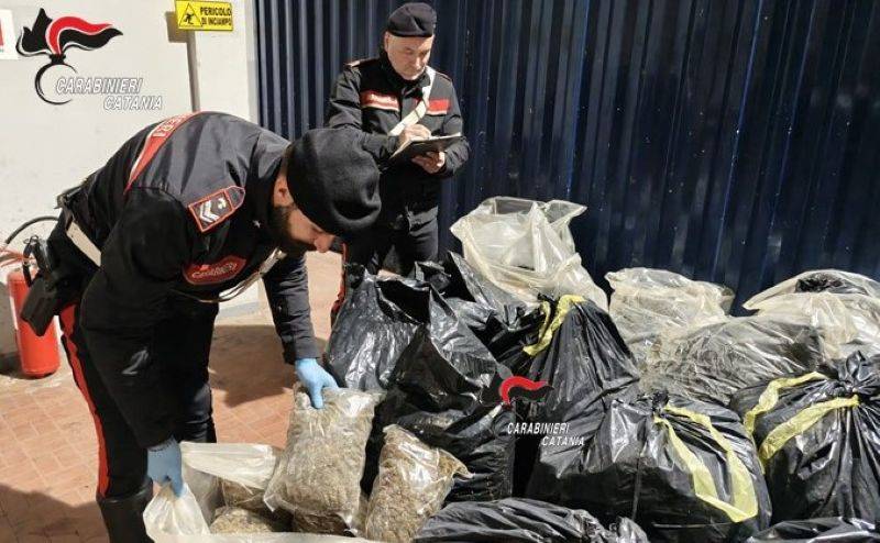 25-quintali-droga-2.jpg