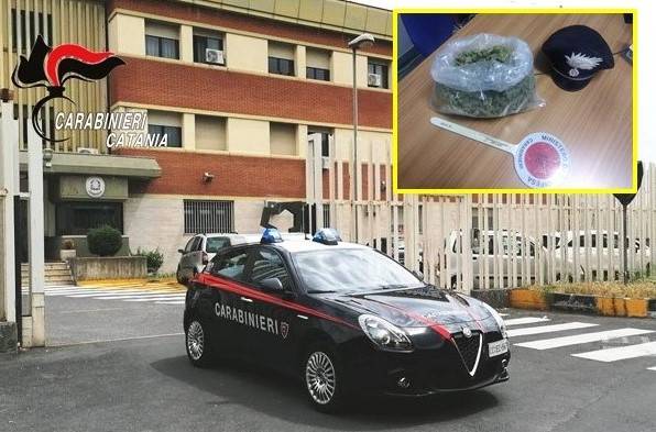 CC-Randazzo.jpg