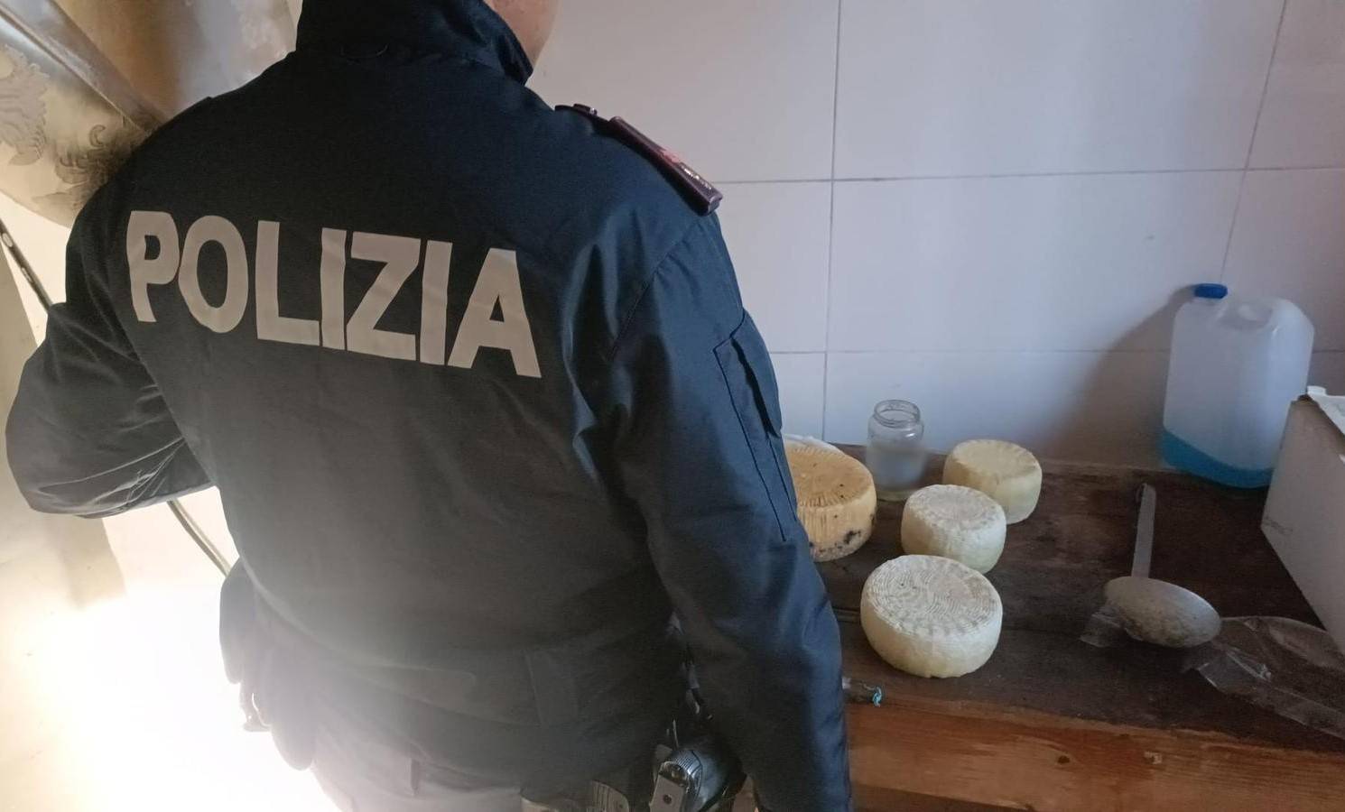 CONTRASTO-ALLA-MACELLAZIONE-ABUSIVA-2-CAVALLI-NON-CENSITI-TROVATI-DALLA-POLIZIA-DI-STATO-IN-UN-ALLEVAMENTO.-SCOPERTO-UN-CASEIFICIO-ABUSIVO.-1.jpg