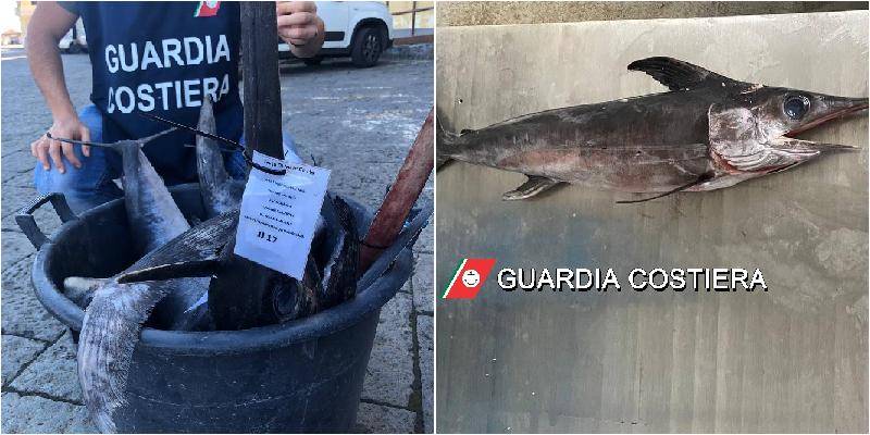 Catania-pesce-sequestrato.jpg