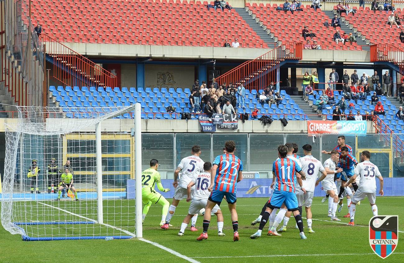 DiGennaro.jpg