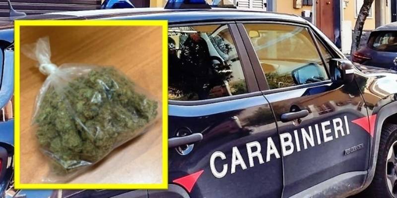 Droga-Pedara.jpg