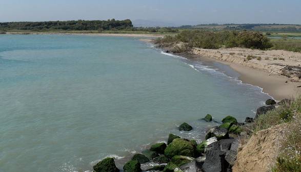Oasi-del-Simeto.jpg