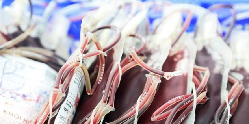 SANGUE-3.jpg