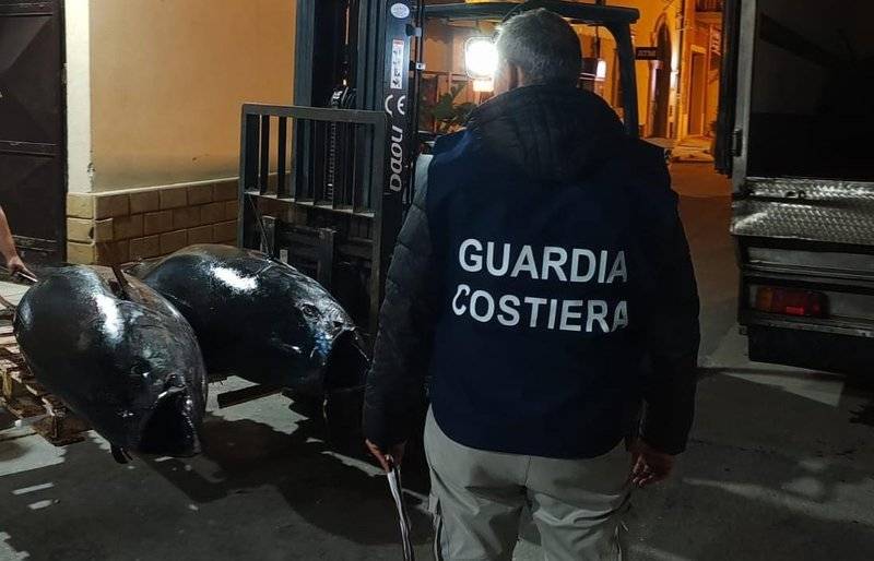 SEQUESTRO-TONNO.jpeg