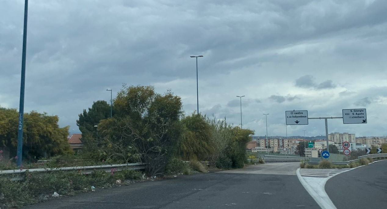 asse-attrezzato-1.jpeg