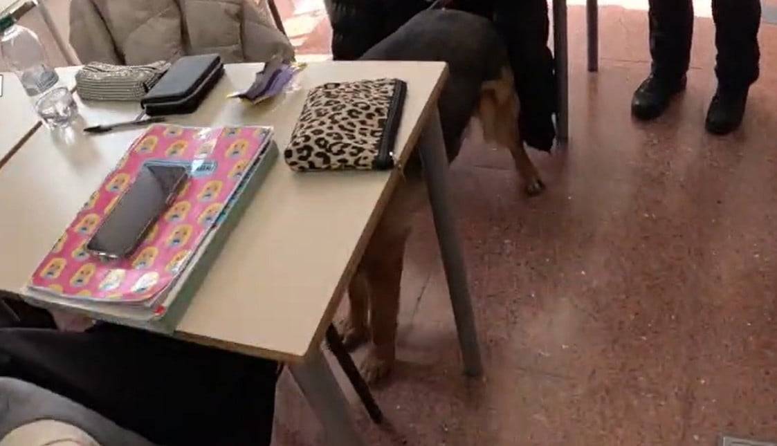 cane.jpg