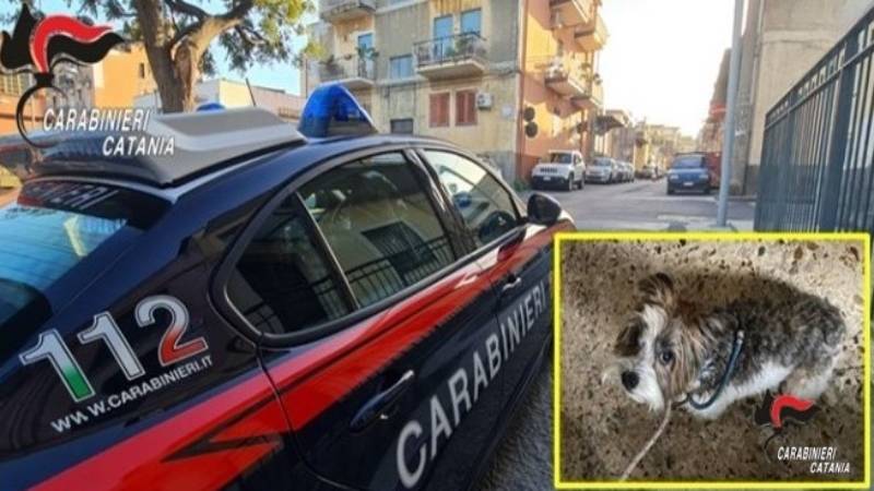 carabinieri-catania-2.jpg