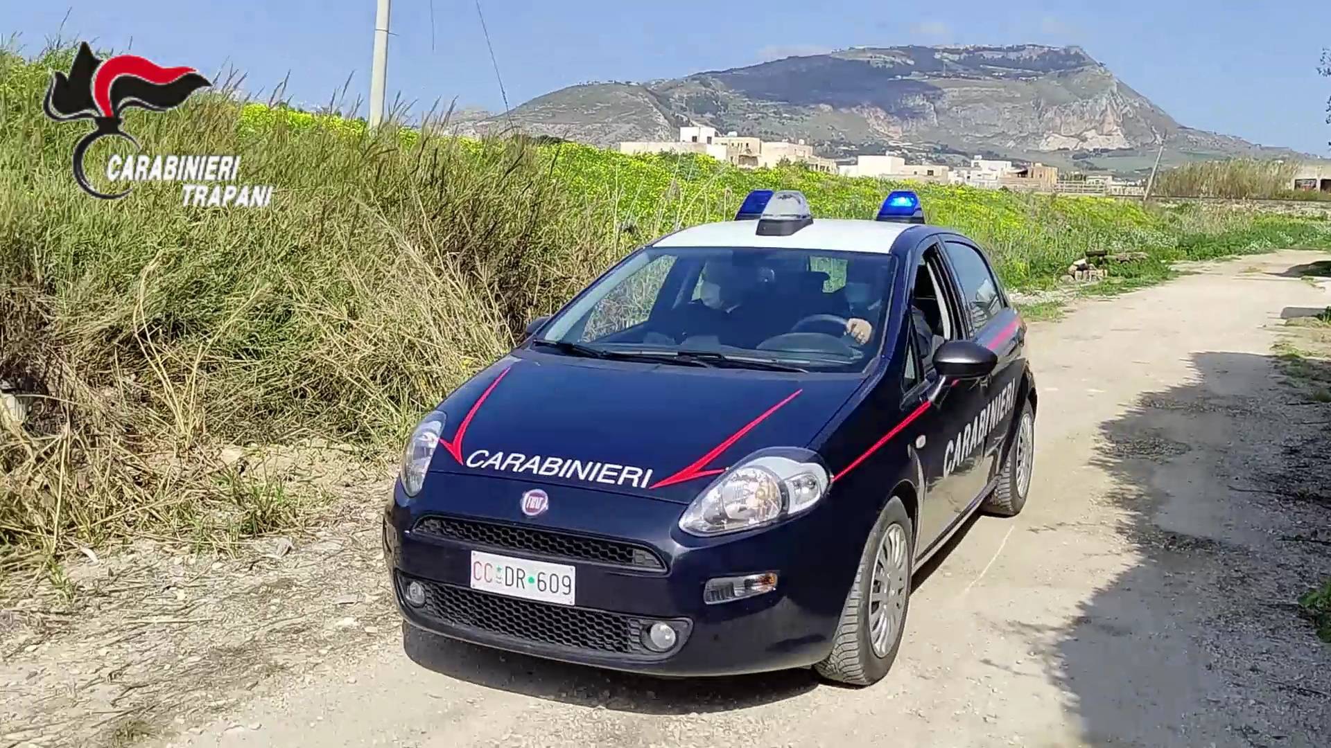 cc-paceco.jpg