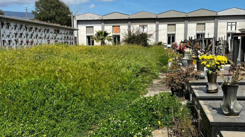 cimitero-giarre.jpg
