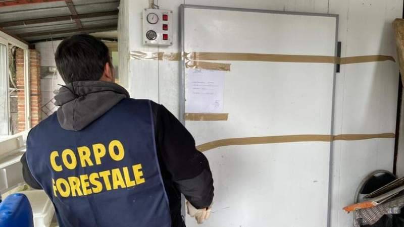 corpo-forestale.jpg