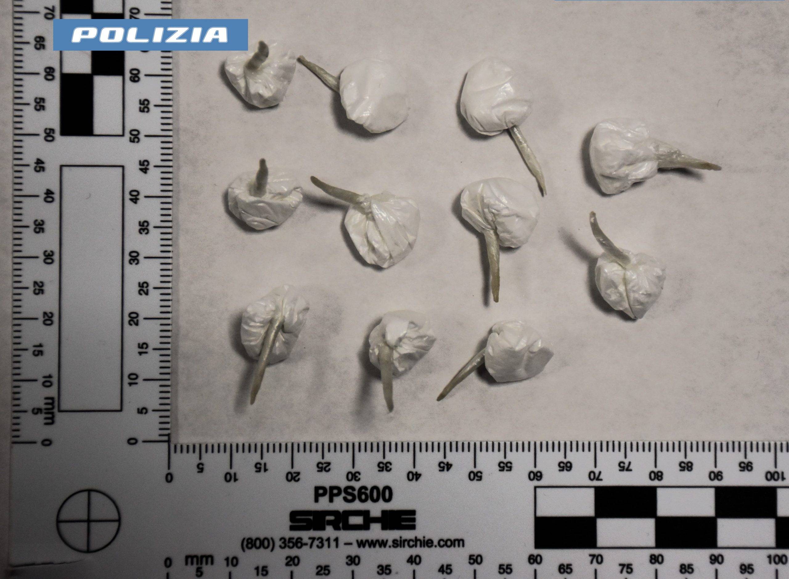 droga-4-scaled-1.jpg