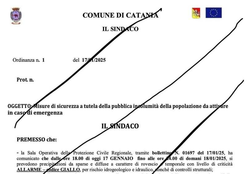 falsa-ordinanza.jpg