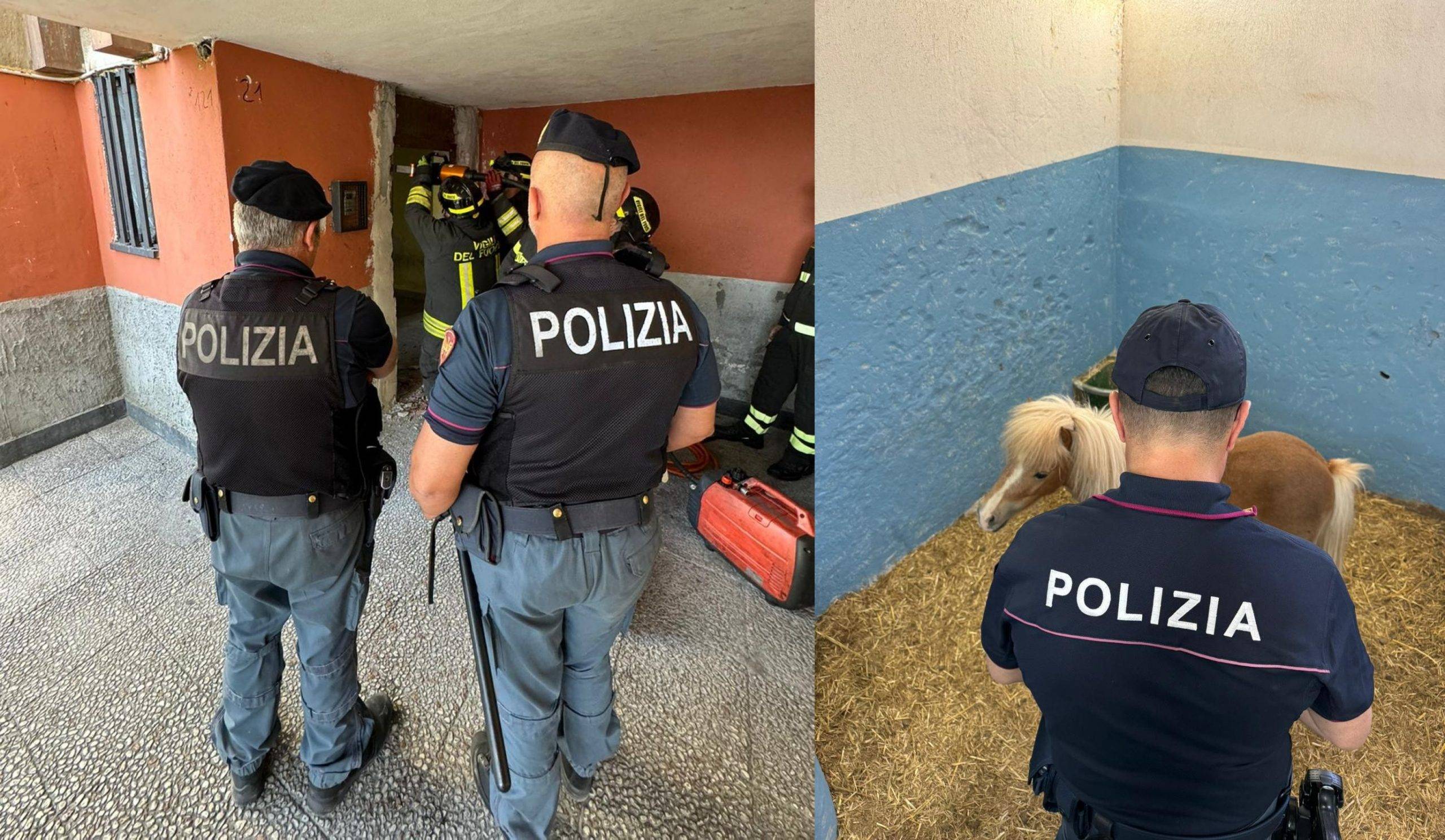 galermo-polizia-scaled.jpg