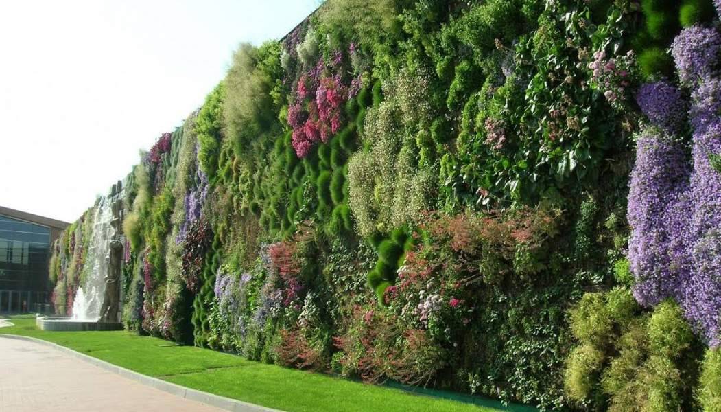giardini-verticali-1.jpg