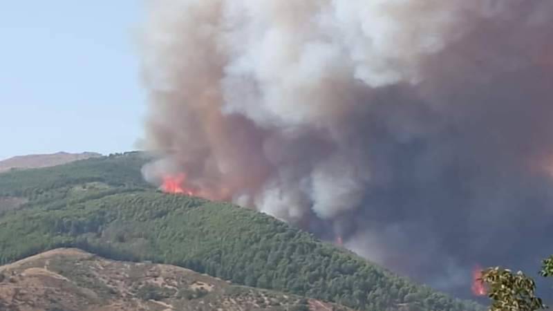 incendio.jpg