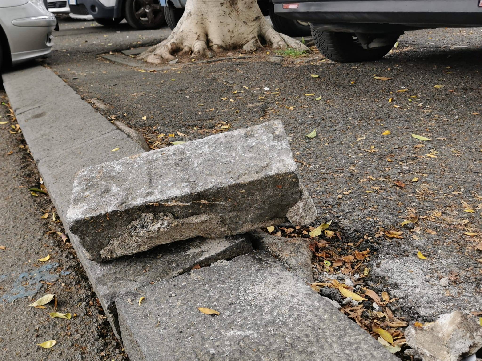 maria-spampinato-carenza-cura-verde-parcheggio-danni-arredo-urbano-piazza-lanza-via-macchi-3.jpeg