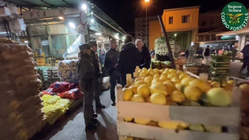 mercato-ortofrutticolo.jpg