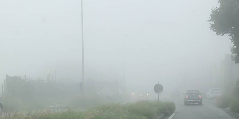 nebbia.jpg