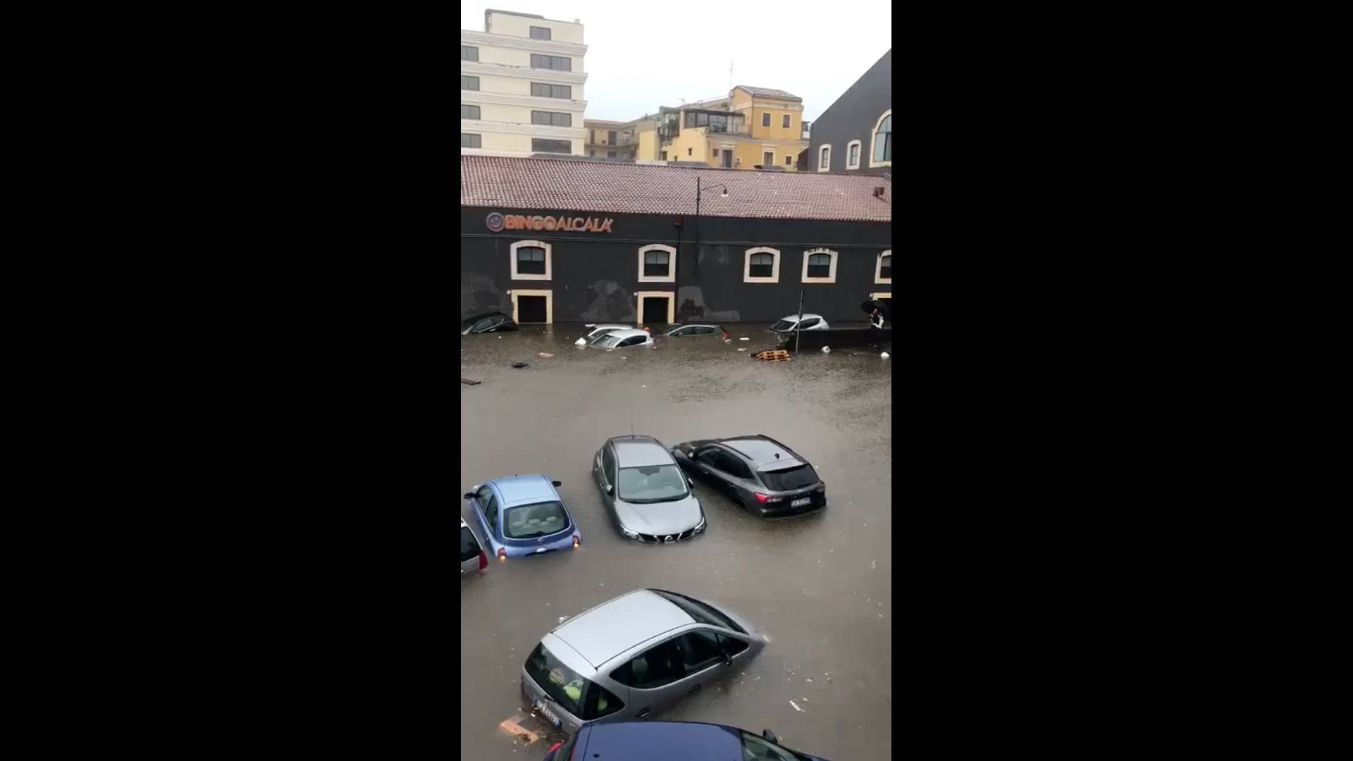 p146774-vimeo-thumbnail.jpg