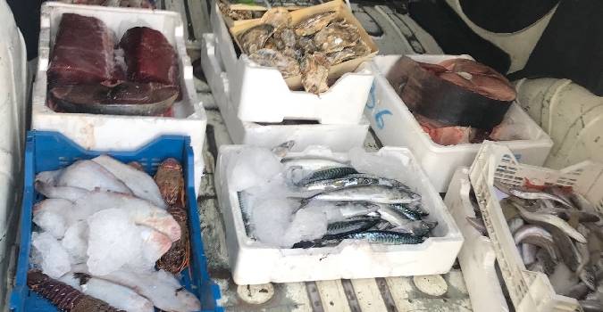pesce.jpeg