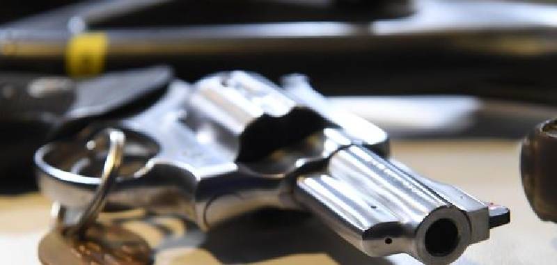pistola-1.jpg