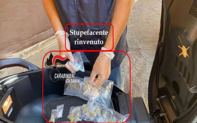 pusher-droga.jpg