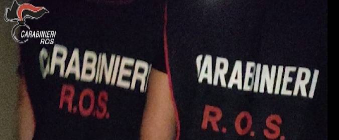 ros.jpg