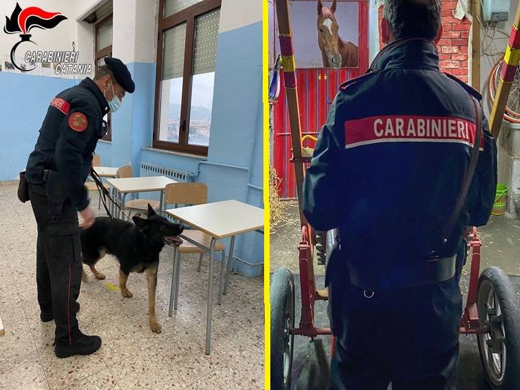 servizio-CC-Stz.-Dante_Ognina.jpg