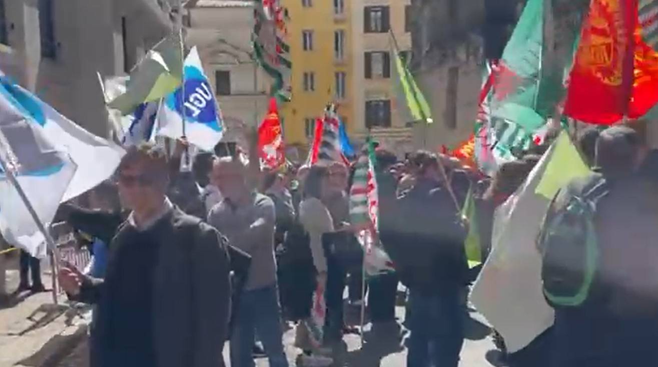stm.jpg